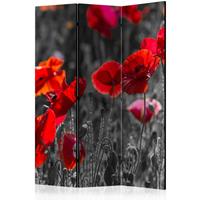 ARTGEIST 3teiliges Paravent Red Poppies Room cm 135x172 