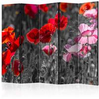 ARTGEIST 5teiliges Paravent Red Poppies II R cm 225x172 