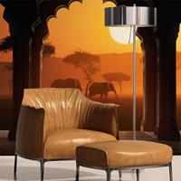 ARTGEIST Fototapete Hear Africa cm 250x193 