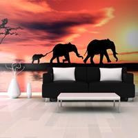 ARTGEIST XXL Tapete Elefanten Familie cm 550x270 