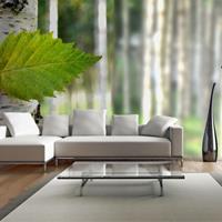 ARTGEIST XXL Tapete Birkenblatt cm 550x270 