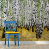 ARTGEIST Fototapete In birch grove cm 300x231 
