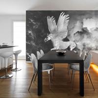 ARTGEIST Fototapete Pegasus auf dem Weg zum Ol cm 300x231 