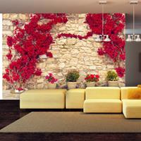 ARTGEIST Fototapete Warm afternoon cm 350x245 
