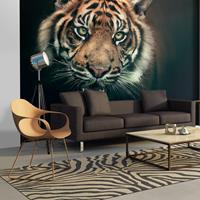 ARTGEIST Fototapete Bengal Tiger cm 300x231 
