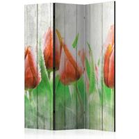 ARTGEIST 3teiliges Paravent Red tulips on woo cm 135x172 