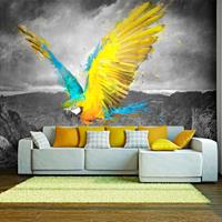 ARTGEIST Fototapete Exotic parrot cm 250x193 