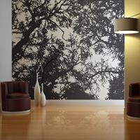 ARTGEIST Fototapete Bleak forest cm 300x231 