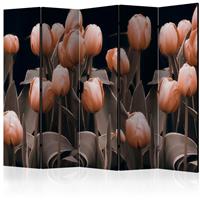 ARTGEIST 5teiliges Paravent Ladies among the cm 225x172 