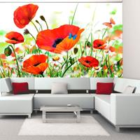 ARTGEIST Fototapete Country poppies cm 300x231 