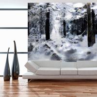 ARTGEIST Fototapete Winter forest cm 300x231 