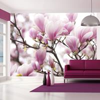 ARTGEIST Fototapete Blühender Magnolienzweig cm 300x231 