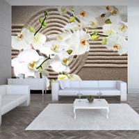ARTGEIST Fototapete Beautiful Zen Garden cm 300x231 