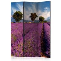 ARTGEIST 3teiliges Paravent Lavender field in cm 135x172 