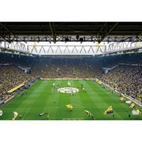 A.S. CREATIONS A.s.creations - DD118847 BVB 01 Designwalls fototapete Fußball 366 x 254 cm (8 Teile) Jetzt Fototapeten günstig kaufen - Pink / Rosa
