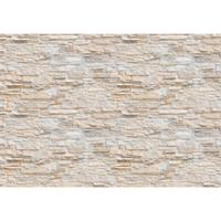 A.S. CREATIONS A.s.creations - DD118850 Natursteinmauer Designwalls fototapete Stein 366 x 254 cm (8 Teile) Fototapeten Online-Shop - Grau
