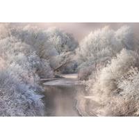 A.S. CREATIONS A.s.creations - DD118968 Frozen Forrest Designwalls fototapete See Wald Baum Schwarz-Weiß Natur 384 X 260 cm (8 Teile) Fototapeten bei BRICOFLOR