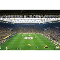 A.S. CREATIONS A.s.creations - DD119011 BVB Fan Choreo Designwalls fototapete Fußball 384 X 260 cm (8 Teile) Jetzt Fototapeten günstig kaufen - Pink / Rosa