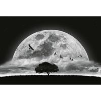 A.S. CREATIONS A.s.creations - DD119044 Moon and Birds Designwalls fototapete Mond Sternenhimmel Baum Vögel Schwarz-Weiß 384 X 260 cm (8 Teile) Fototapeten online