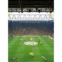 A.S. CREATIONS A.s.creations - DD119118 BVB Fan Choreo Designwalls fototapete Fußball 192 X 260 cm (8 Teile) Fototapeten online entdecken - Pink / Rosa