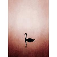 living walls Fotobehang ARTist Swan Lake (set, 2-delig)