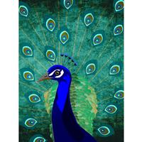 A.S. CREATIONS A.s.creations - DD120045 Peacock ARTist fototapete vögel tiere 270 x 200 cm (2 Teile) | Jetzt Fototapeten günstig kaufen - Blau, Grün
