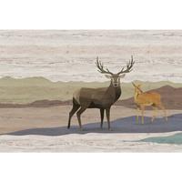 A.S. CREATIONS A.s.creations - DD122896 yukon2 Walls by Patel 3 hirsch tiere 270 x 400 cm (4 Teile) | Jetzt Fototapeten günstig kaufen - Braun, Gelb