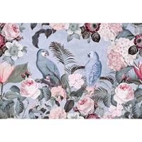 A.S. CREATIONS A.s.creations - DD119689 JungleRendevous2 ARTist fototapete dschungel vögel natur tiere blumen 270 x 400 cm (4 Teile) | Fototapeten online entdecken
