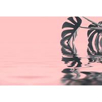A.S. CREATIONS A.s.creations - DD119781 MonsteraLeafWater1 ARTist fototapete palmen natur 270 x 400 cm (4 Teile) | Fototapeten bei BRICOFLOR kaufen - Grün, Pink /
