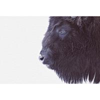 living walls Fotobehang ARTist Black Buffalo (set, 4-delig)