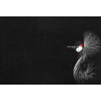 A.S. CREATIONS A.s.creations - DD119805 CrownedCraneBlack ARTist fototapete vögel tiere natur 270 x 400 cm (4 Teile) | Online Fototapeten bestellen - Schwarz /