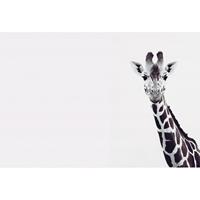 A.S. CREATIONS A.s.creations - DD119817 GiraffePotrait ARTist fototapete tiere natur 270 x 400 cm (4 Teile) | Fototapeten online entdecken - Schwarz / Anthrazit,