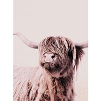 living walls Fotobehang ARTist Highland Cattle (set, 2-delig)