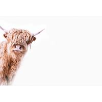A.S. CREATIONS A.s.creations - DD119825 HighlandCattle2 ARTist fototapete tiere natur 270 x 400 cm (4 Teile) | Online Fototapeten bestellen - Beige / Crème, Weiß