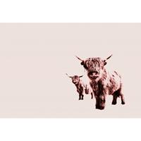 A.S. CREATIONS A.s.creations - DD119829 HighlandCows ARTist fototapete tiere natur 270 x 400 cm (4 Teile) | Fototapeten Online-Shop - Beige / Crème