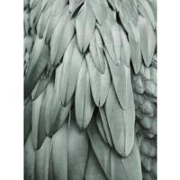A.S. CREATIONS A.s.creations - DD119845 Feathers2 ARTist fototapete vögel tiere natur 270 x 200 cm (2 Teile) | Fototapeten online entdecken - Grau, Grün