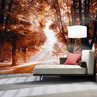 ARTGEIST Selbstklebende Fototapete Autumn Park cm 294x210 - 