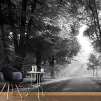 ARTGEIST Selbstklebende Fototapete Path of Memo cm 294x210 - 