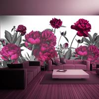 ARTGEIST Selbstklebende Fototapete Lush meadow cm 490x280 - 
