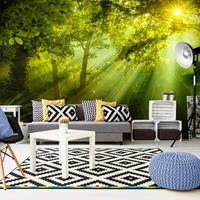 ARTGEIST Selbstklebende Fototapete In a Secret cm 490x280 - 