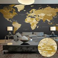 ARTGEIST Selbstklebende Fototapete World Map M cm 490x280 - 