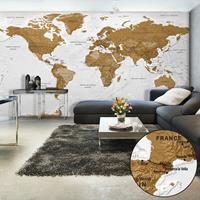 ARTGEIST Selbstklebende Fototapete World Map W cm 490x280 - 