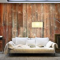 ARTGEIST Selbstklebende Fototapete Forest Cotta cm 490x280 - 