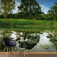 ARTGEIST Selbstklebende Fototapete The Magic Po cm 245x175 - 