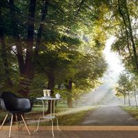ARTGEIST Selbstklebende Fototapete Morgenspazie cm 245x175 - 
