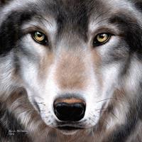 Crystal Art Wolf Met Frame 30 X 30 Cm