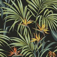 ART FOR THE HOME Superfresco Easy - Vliestapete - Strelitzia Dark - 10m x 52cm