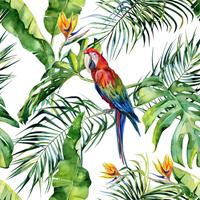 HOMEMAISON DD116614 Parrot1 Greenery fototapete dschungel wald palmen papagei 260 x 260 cm (2 Teile) | Fototapeten Online-Shop - Grün, Rot