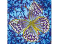 "DIAMOND DOTZ Original Diamond Painting ""Flutterby Silver“ 30,5 x 30,5 cm ab 8 Jahren (DD5.023)"