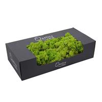 Bellatio Doosje decoratie/hobby mos licht groen 500 gram -